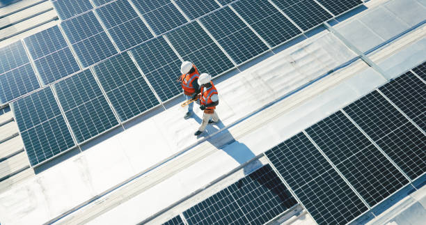 Best Roof Moss and Algae Removal  in East Lexington, VA