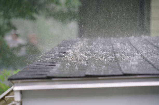 Best Metal Roofing Installation  in East Lexington, VA